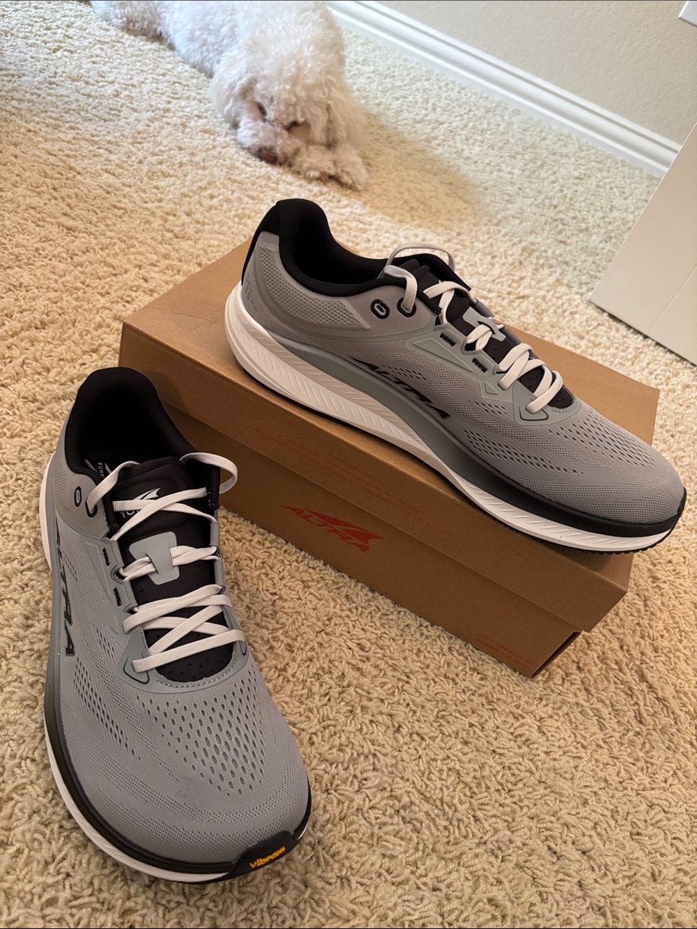Altra M Torin 9 Running Shoes